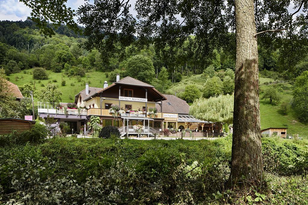 Hostellerie Les Bagenelles Сент-Марі-о-Мін Екстер'єр фото